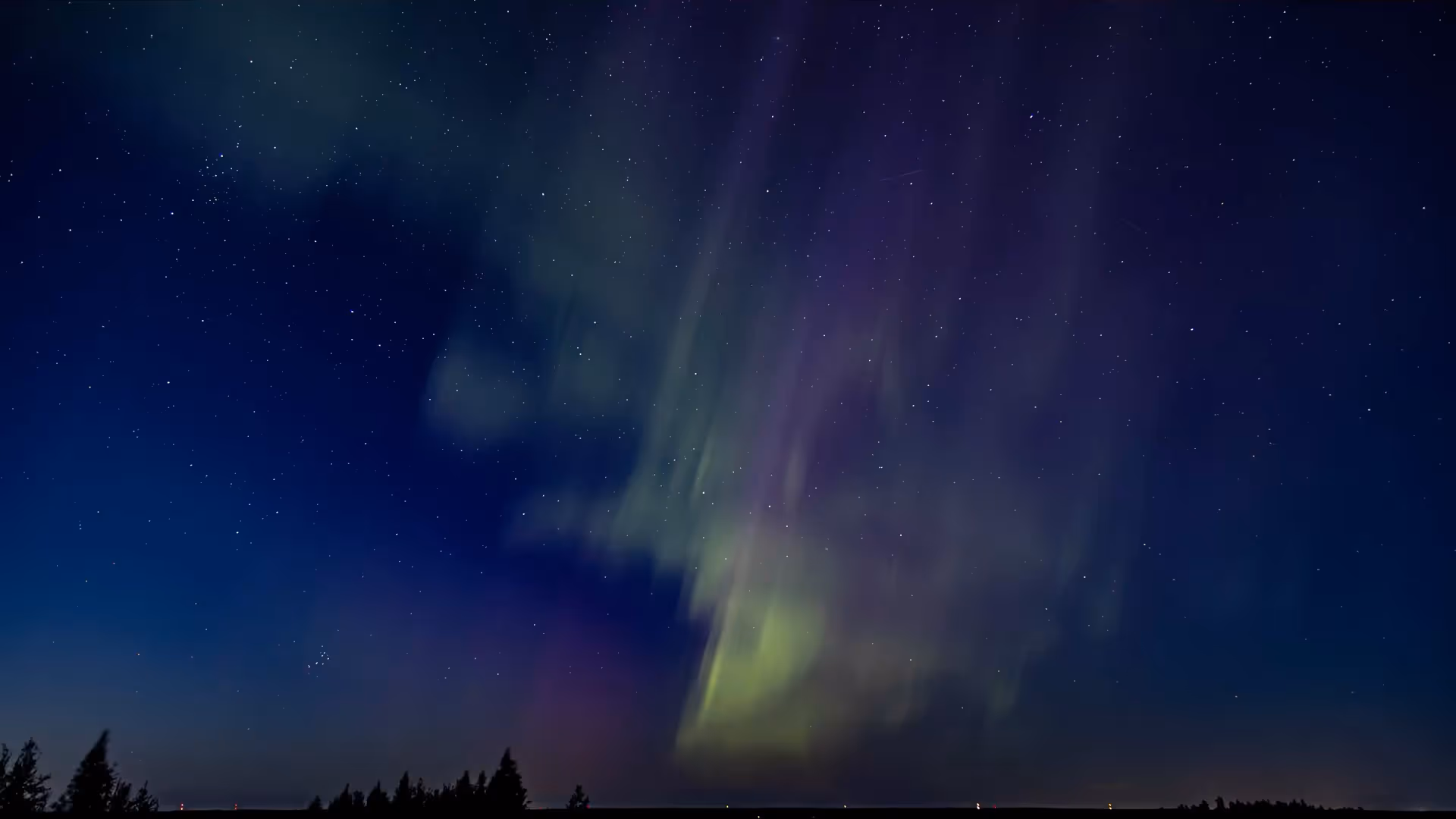 Colorful northern lights with green and purple hues glowing above a dark forest silhouette at night.