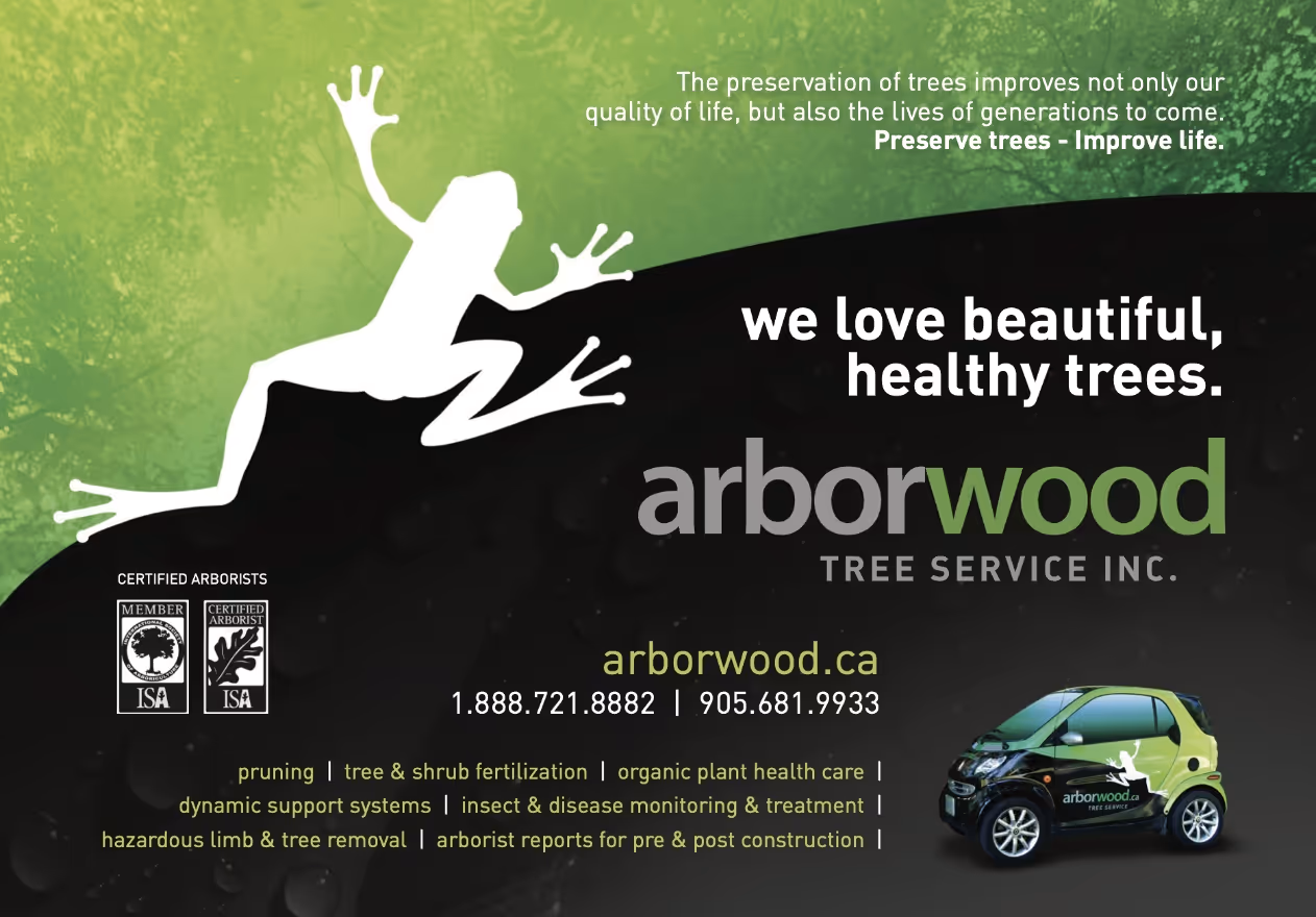 Arborwood Tree Service advertisement featuring a white frog silhouette on green and black background, company name, services listed, and a branded small green and black car.