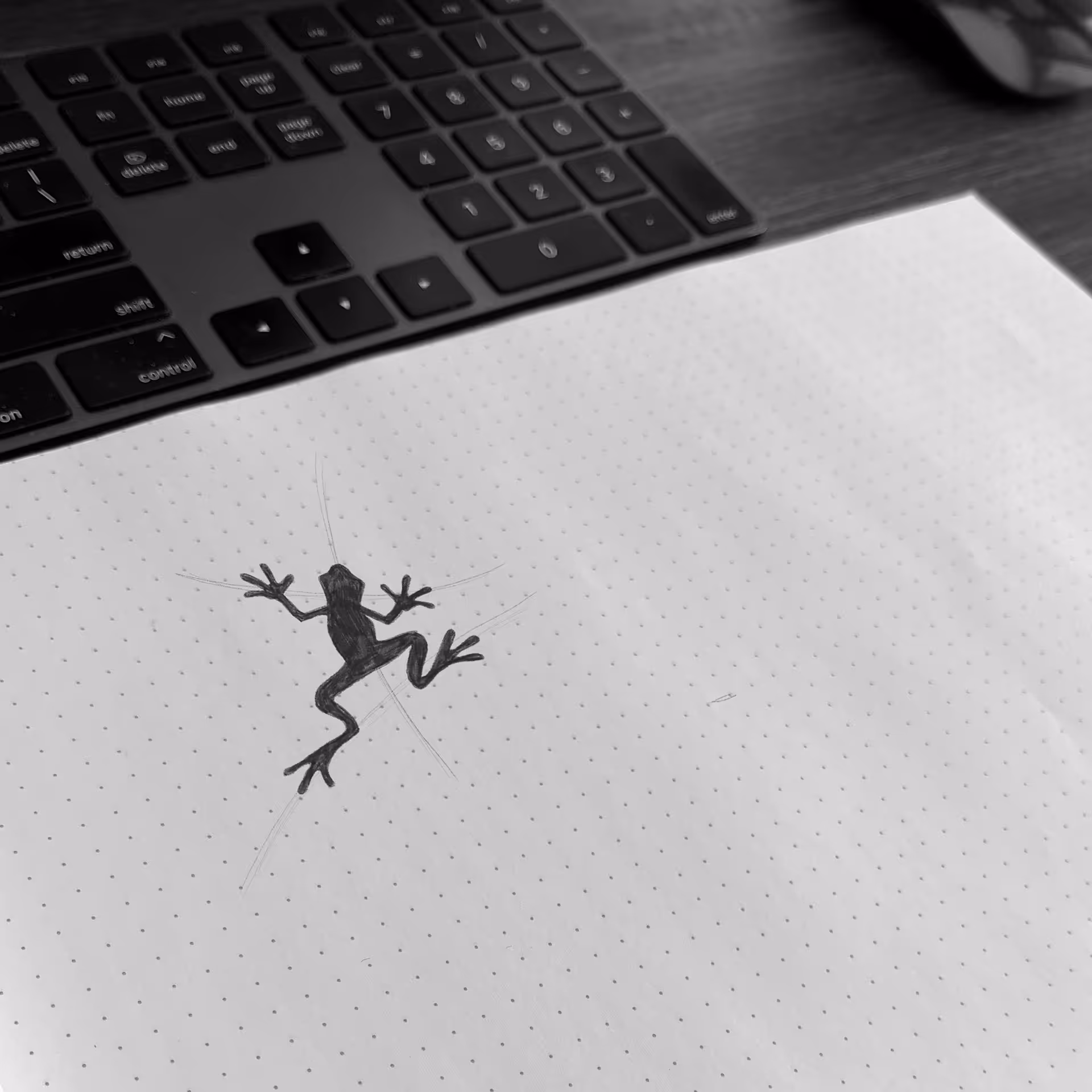 Black ink drawing of a frog on dotted white paper with a black keyboard in the background.
