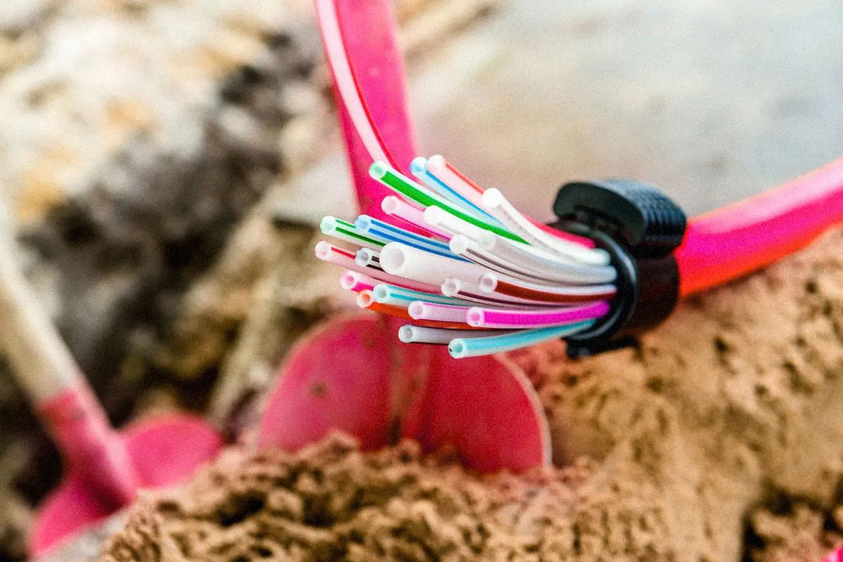 Telekom AG verlängert die Zusammenarbeit mit Werner & Schlei Ingenieure für 2024.