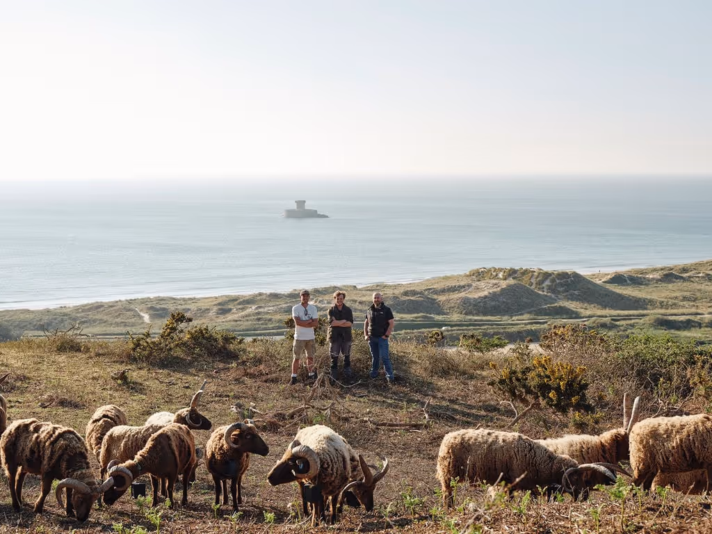 Three men standing on a grassy hill with a flock of sheep grazing nearby and a calm sea with a small island in the background.