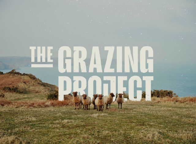 A small flock of sheep standing on grassy terrain near cliffs by the sea with the text 'THE GRAZING PROJECT' overlaid.
