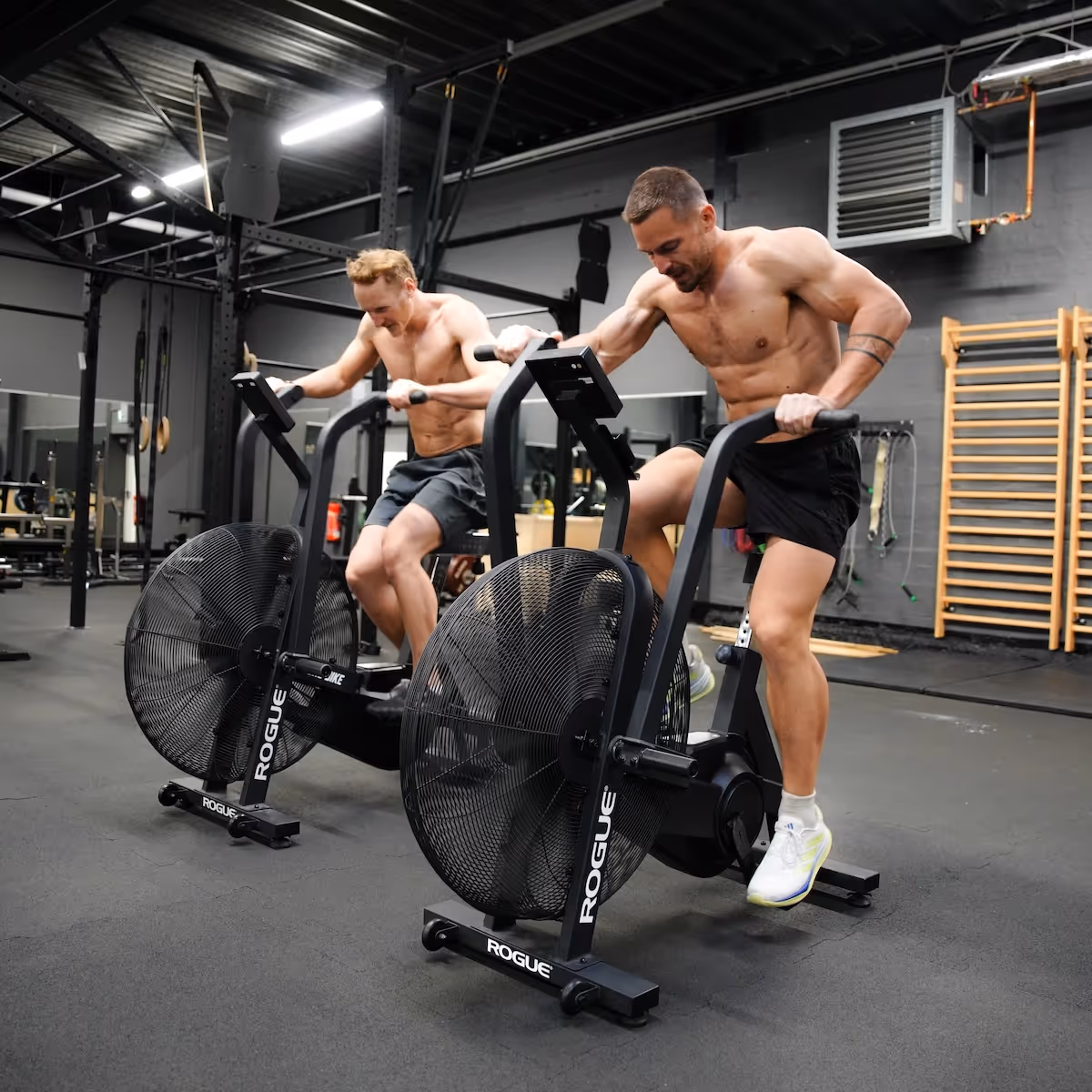 lorenz und luke image