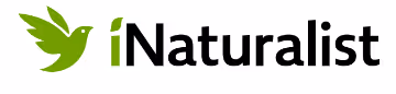 iNaturalist logo