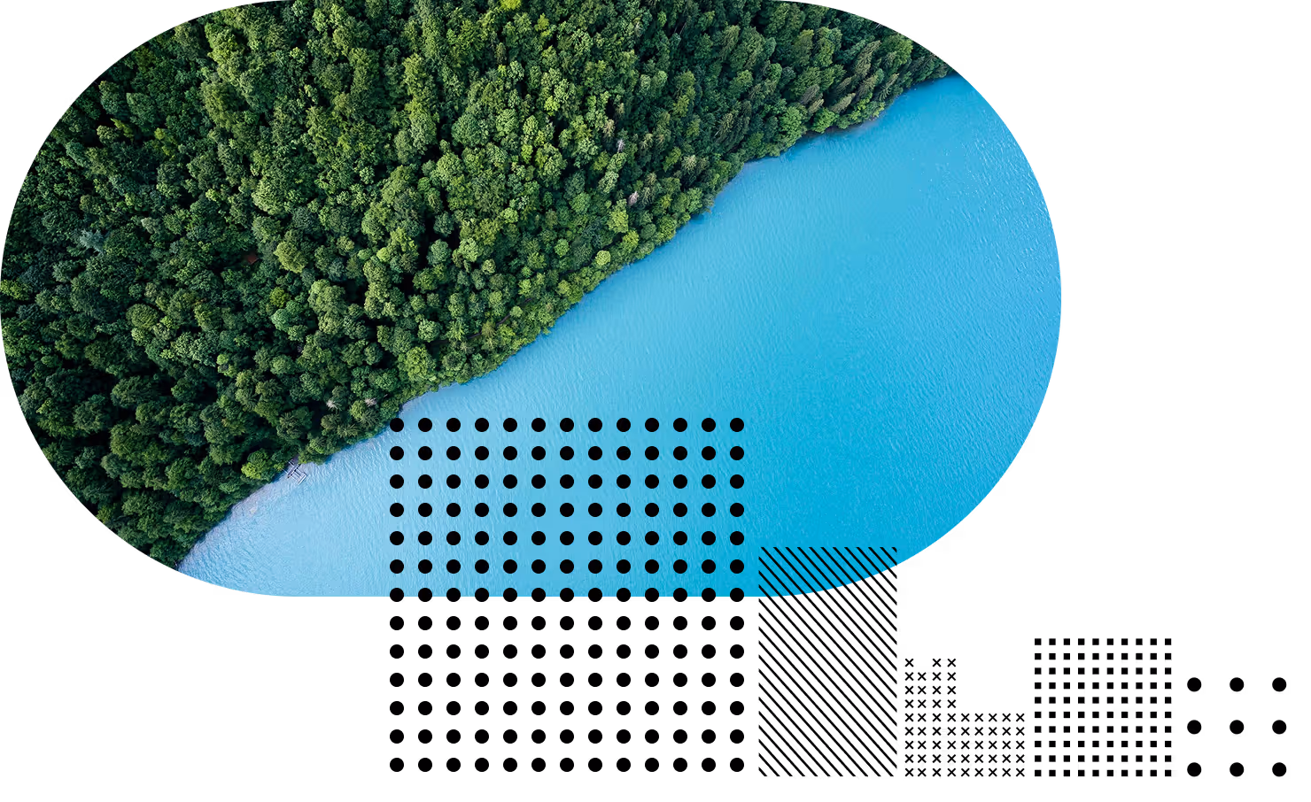 Black-and white picture with a chart conceptualizing that nature needs more data to improve biodiversity and make better decisions