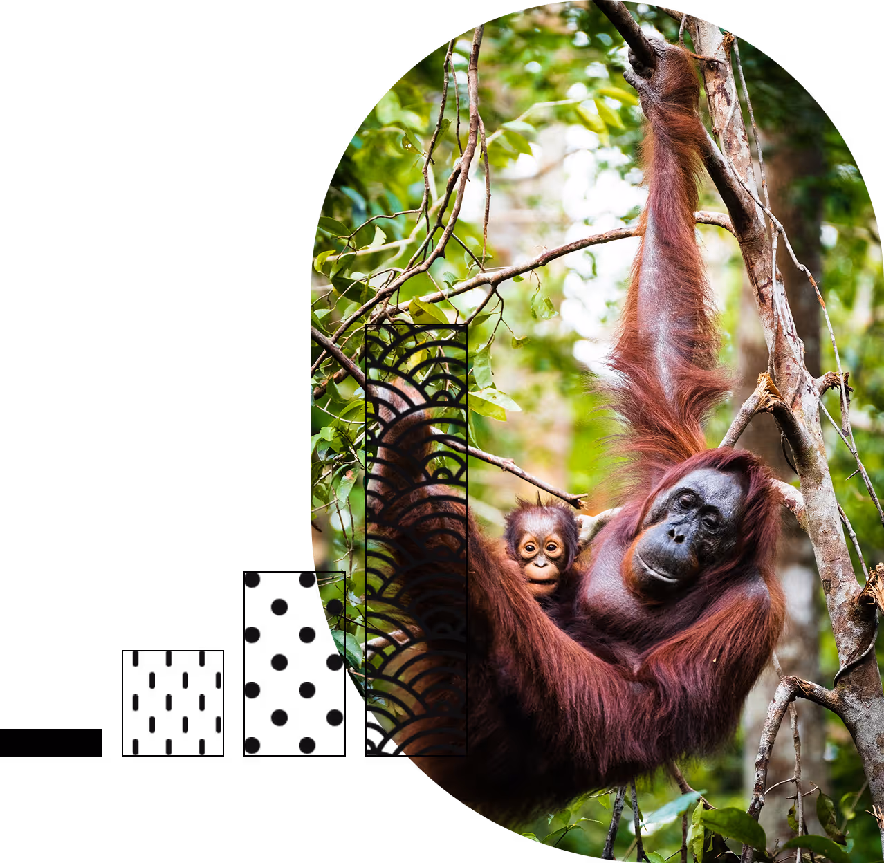 An animal and its baby