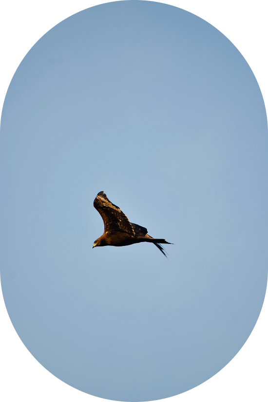 image-for-blog-post-entry