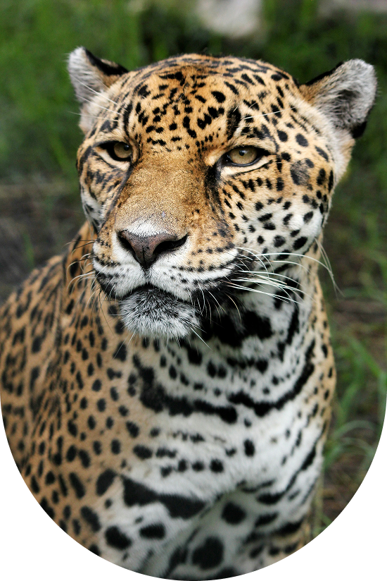 image-for-blog-post-entry