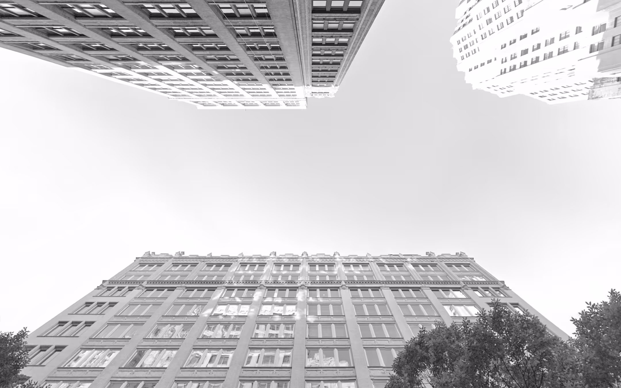 high building and a tree