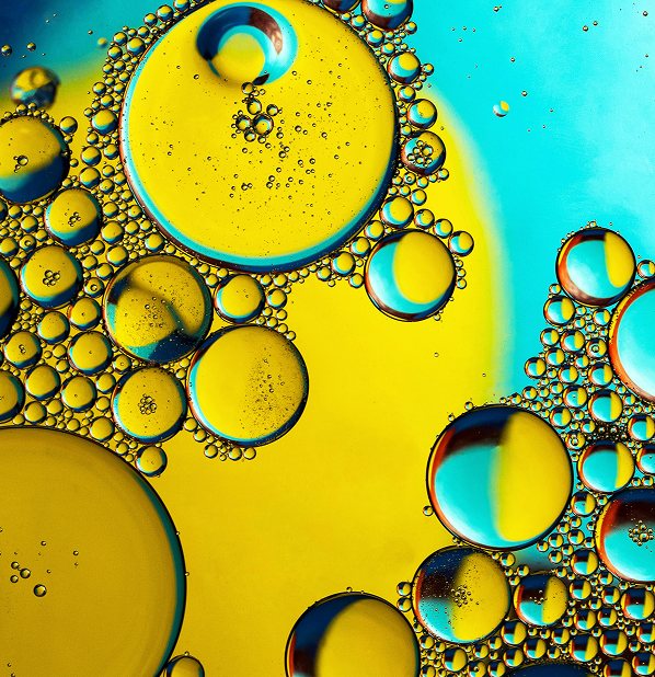 Extra Virgin Organic Olive Oil