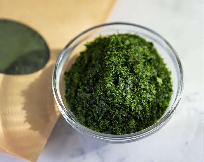 seaweed-image-1
