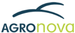 Argonova Logo