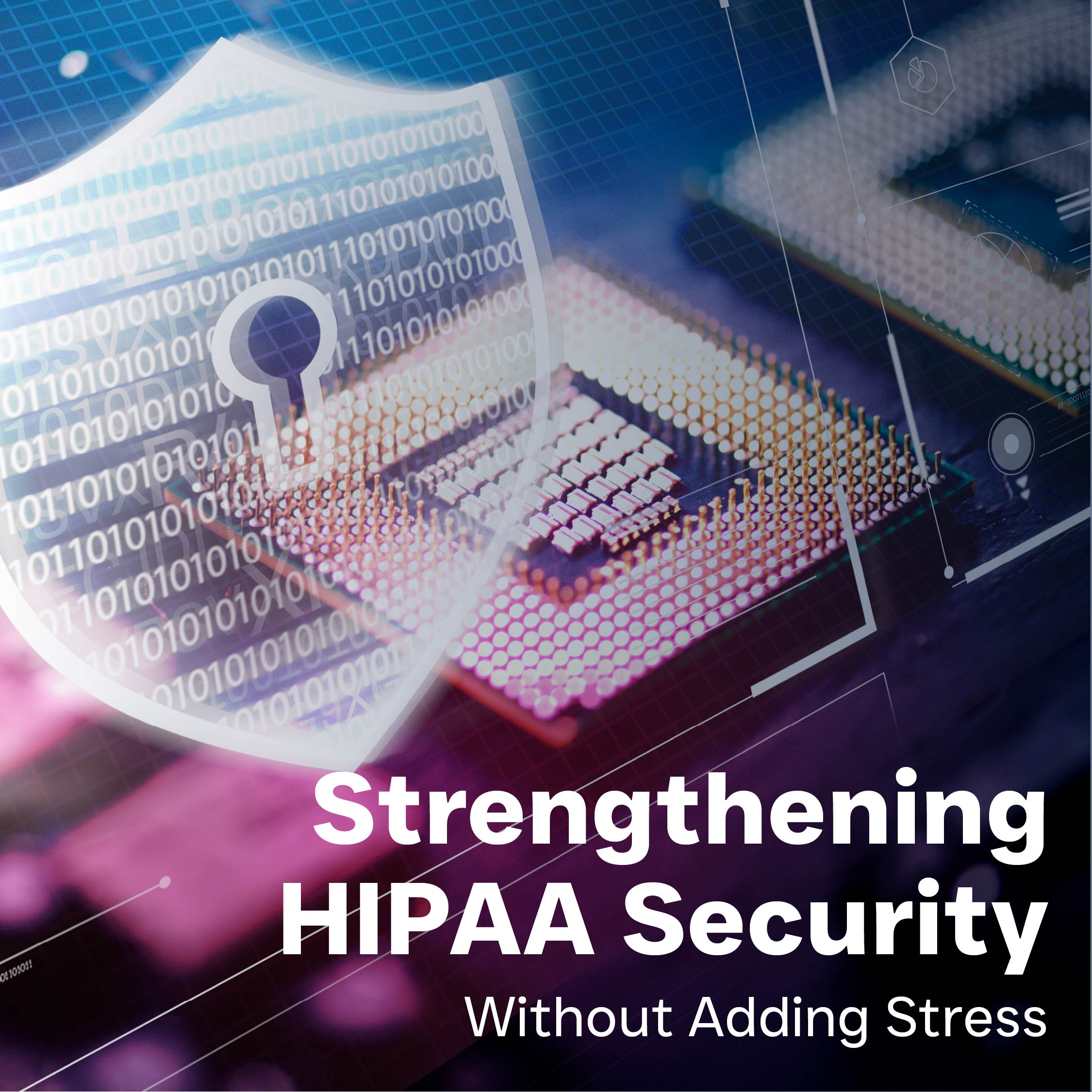 image of an educational seminar in progress (for a veterinary clinic)