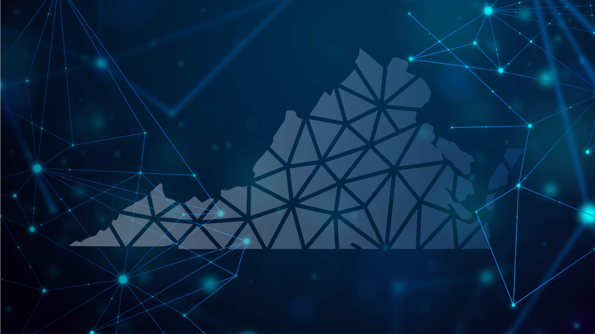 image of an educational seminar in progress (for a veterinary clinic)