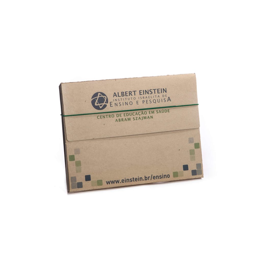 Brown envelope with Albert Einstein Instituto Israelita de Ensino e Pesquisa logo and URL www.einstein.br/ensino.