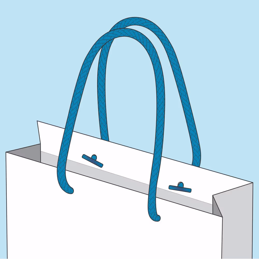 White shopping bag with blue braided nylon handles attached through reinforced holes.