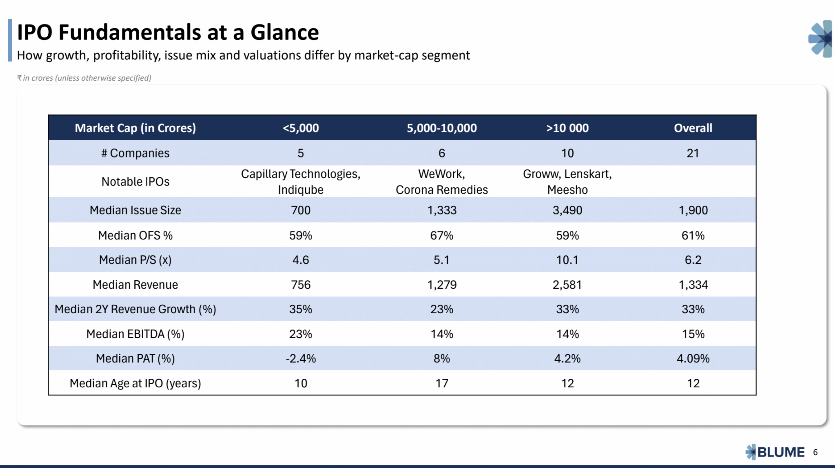 IPO fundamentals at a glance, by market cap segment