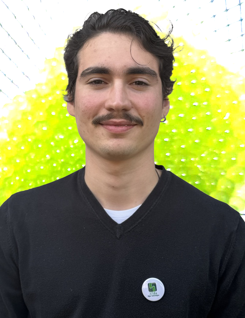 background image: forest riverbed