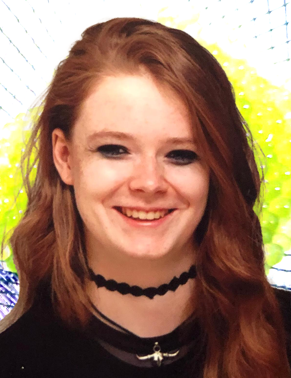 background image: forest riverbed