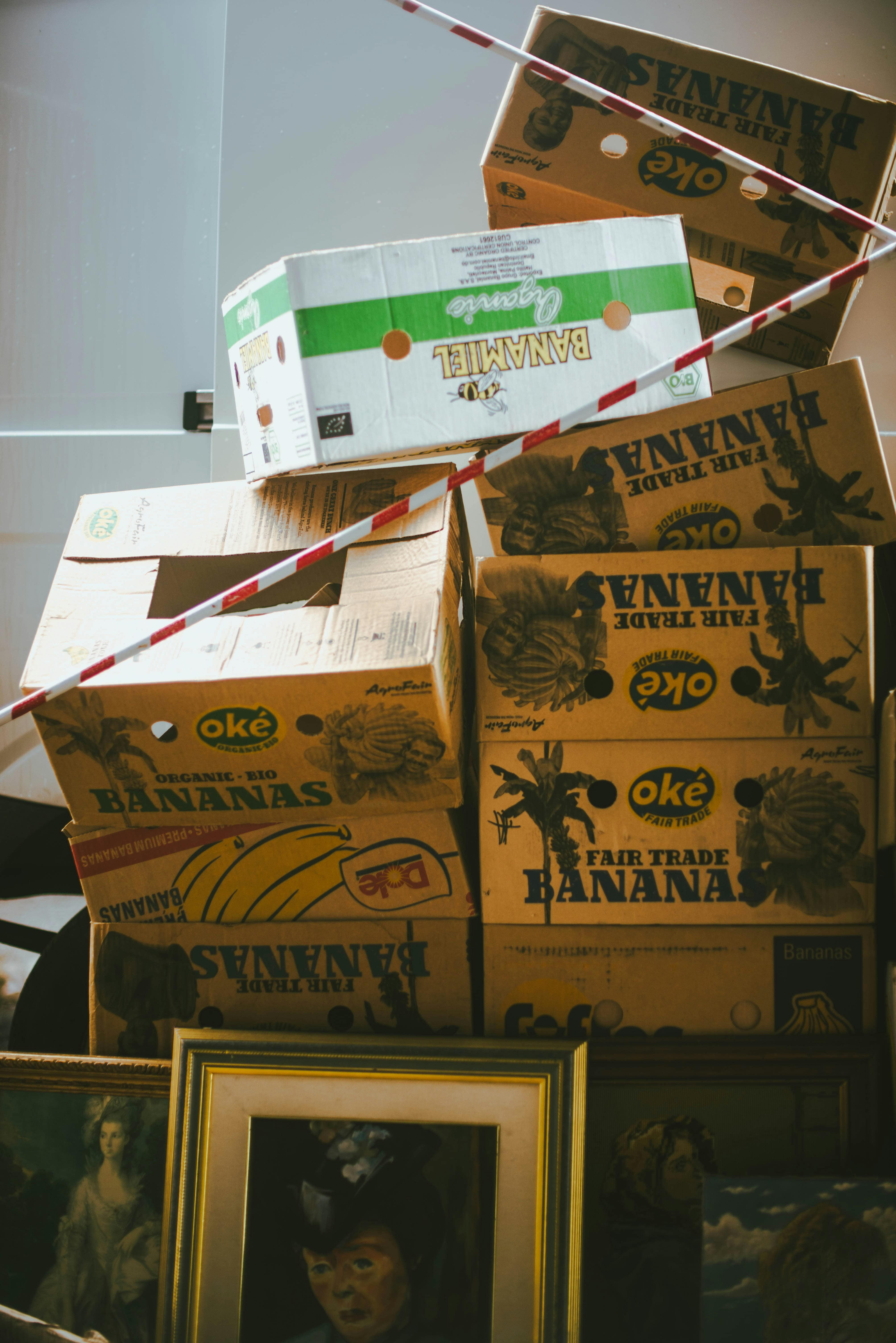 Packing and Moving in Seattle, WA