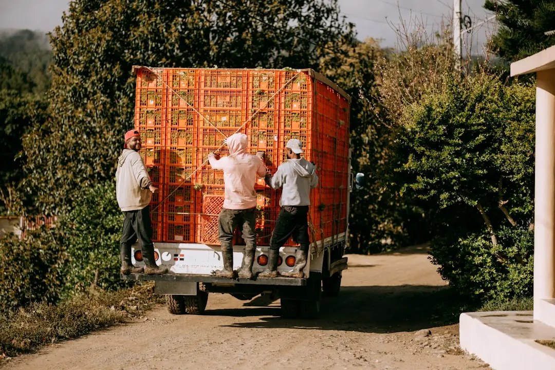 Efficient Packing Services: What to Expect
