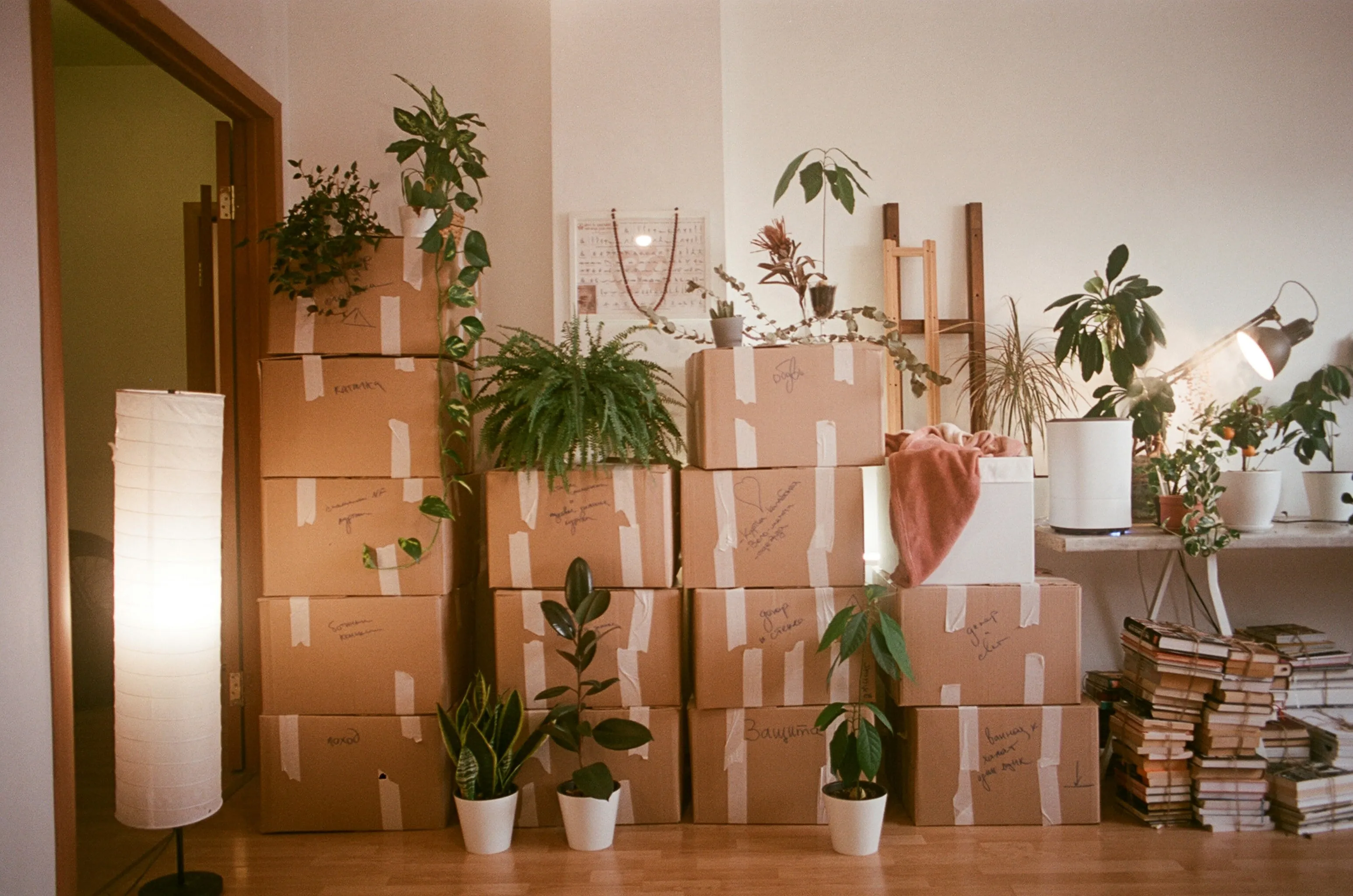 Local Movers Renton, WA | Residential Moving Experts