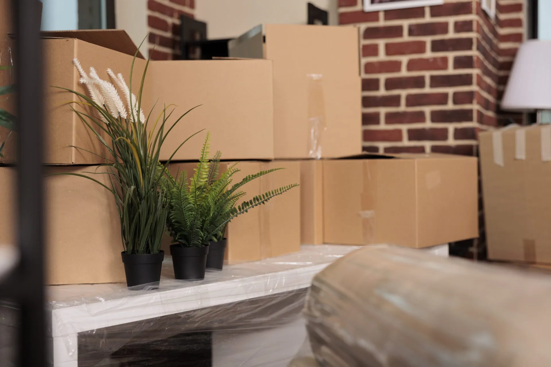Spring Moving Tips and Tricks for Issaquah Residents