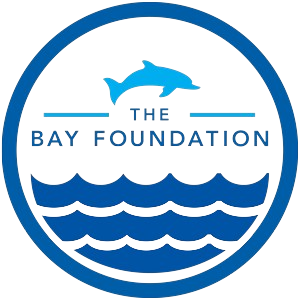 The Bay Foundation logo featuring a blue dolphin above stylized ocean waves enclosed in a blue circle.