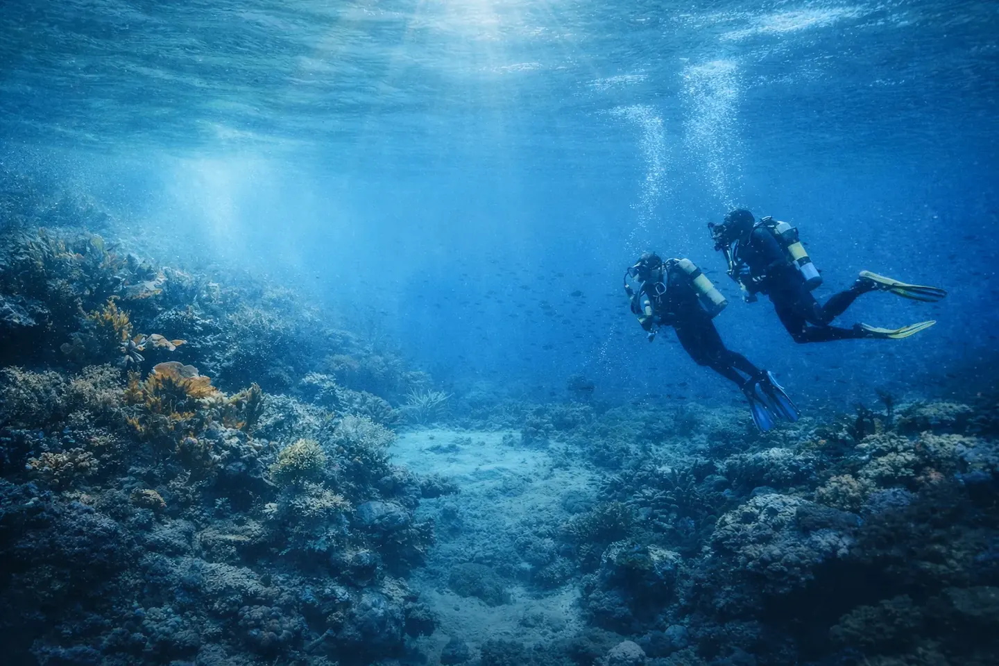 Two scuba divers exploring a coral reef underwater with sunlight filtering through the water.