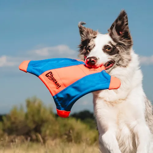 ChuckIt gets thrown a brand store makeover