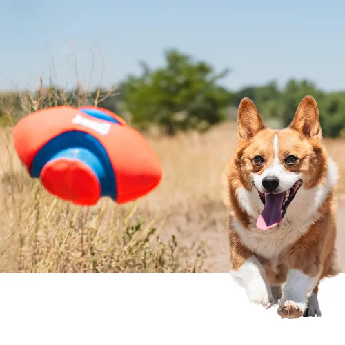 Fetching Higher Conversions Rates With New Product Photography