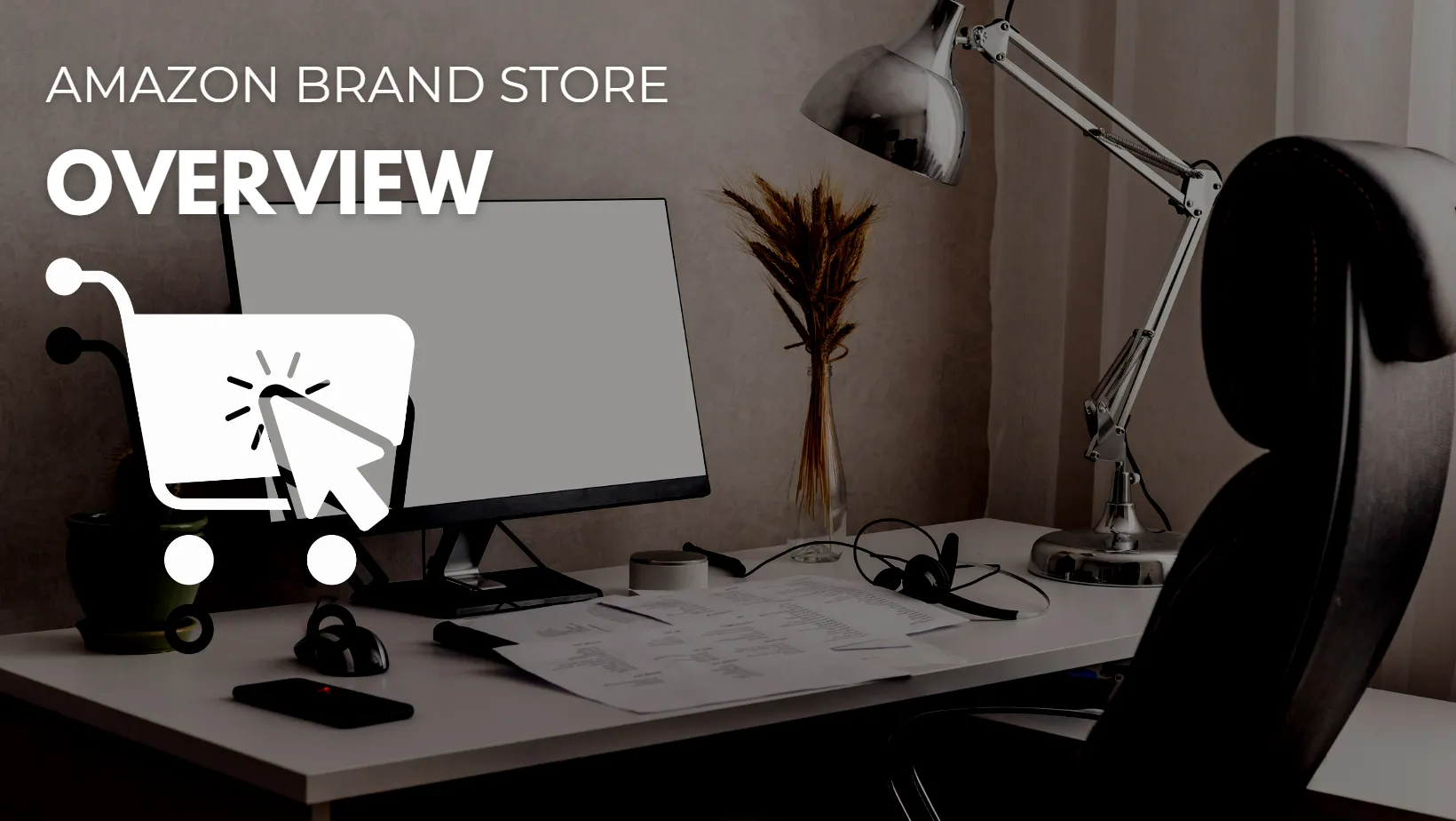 The Amazon Brand Store Overview