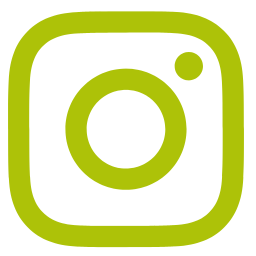 Instagram Icon - Banca Webflow Template