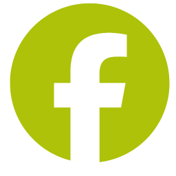 Facebook Icon - Banca Webflow Template