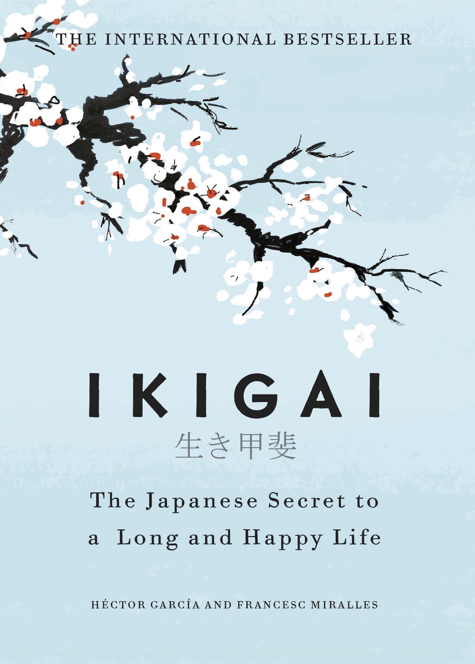 Boek Ikigai