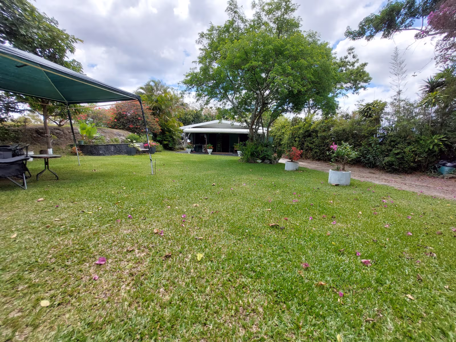 Large flat backyard with green grass and mature landscape on the sides with the guest house as backdrop 