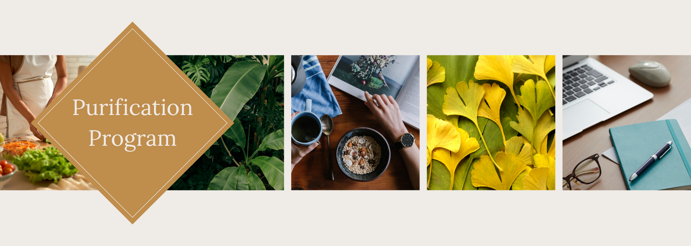 Banner with the text 'Purification Program' and images of fresh vegetables, green leaves, a healthy breakfast, yellow ginkgo leaves, and a laptop with notebook and glasses.