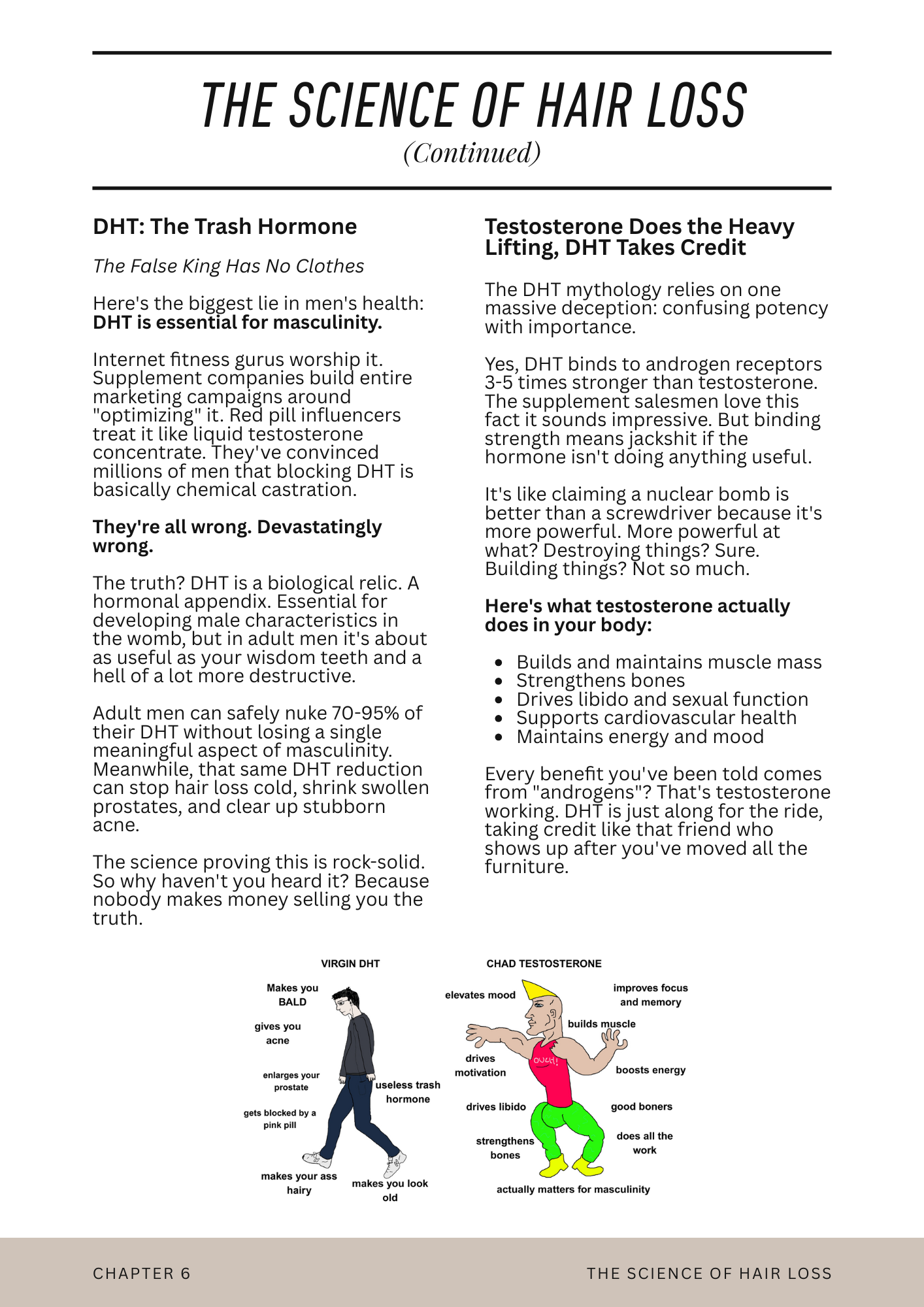 Informative text contrasting the roles of DHT and testosterone in men's health with cartoon depictions labeled 'Virgin DHT' and 'Chad Testosterone' highlighting negative effects of DHT and positive effects of testosterone.