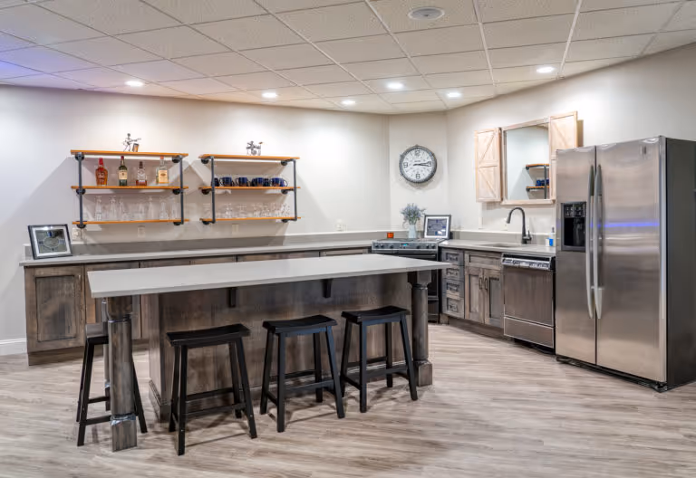 Basement Entertainment Room Remodel 