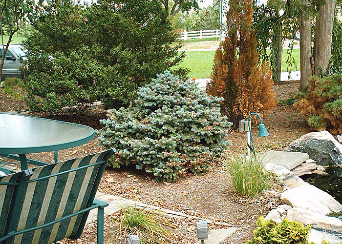 Cozy outdoor garden with lush greenery and a tranquil water feature in Harrisburg, PA.
