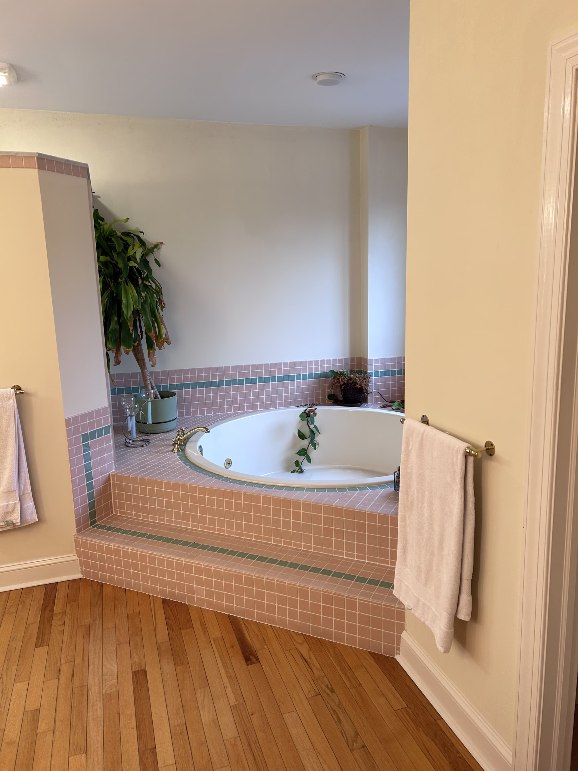 Luxury primary bathroom featuring a large sunken tub with pink tile accents and wooden flooring in Mechanicsburg, PA.
