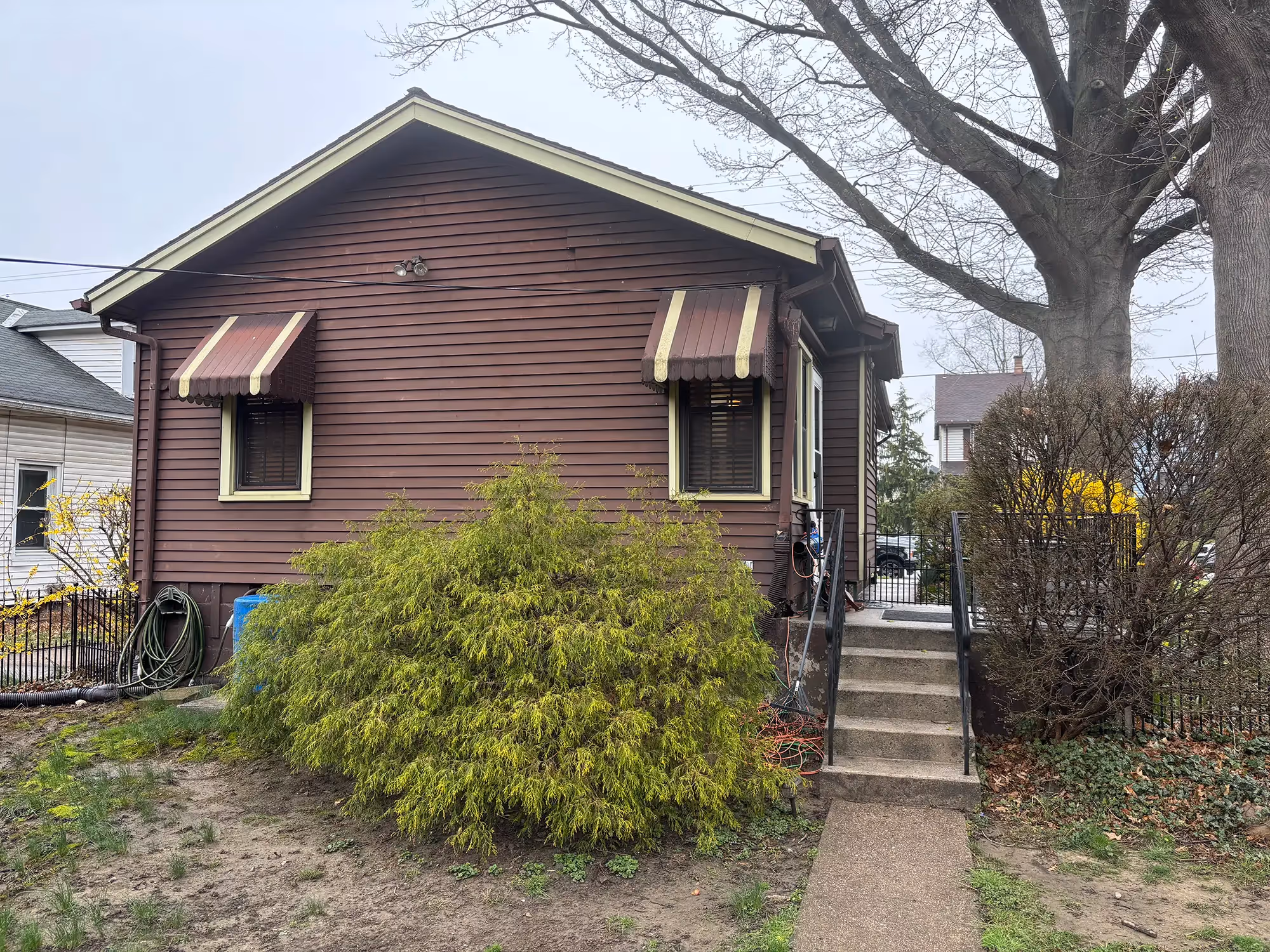 Exterior view of the house with overgrown bushes