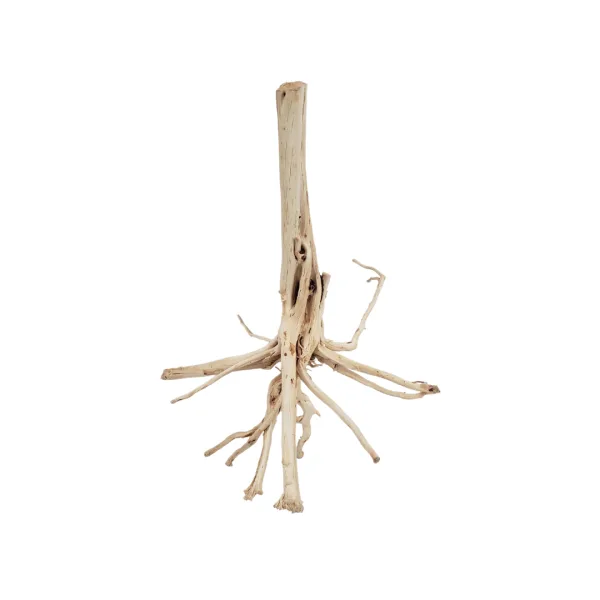 Amur River wood (SINKABLE)- Small (10- 12 inch height)