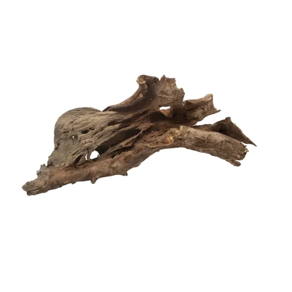 Driftwood, Black Aqua Extra Large 18 to 22"