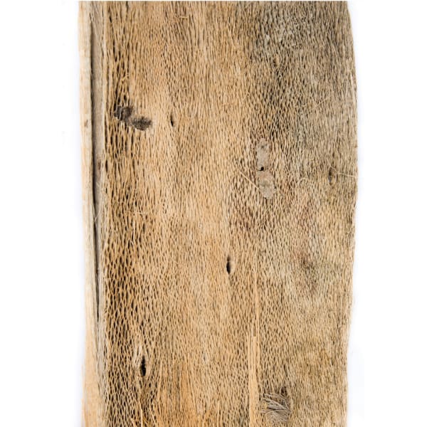 Palm Bark - 8.5" * 12" - Cello Pack