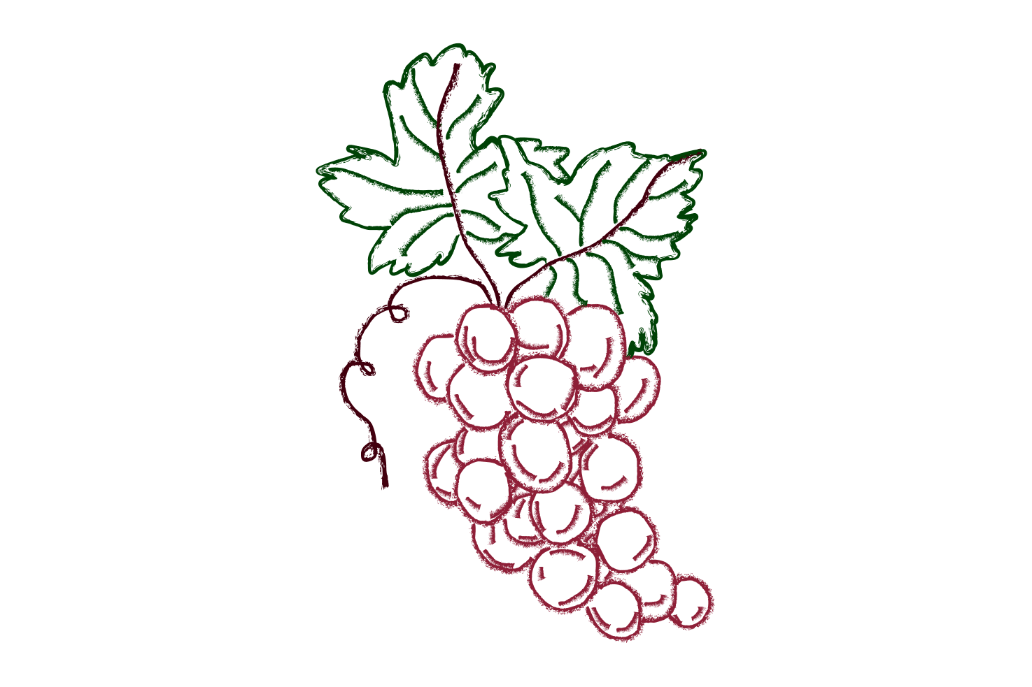 Sketch of a cluster of purple grapes with two green leaves attached to the stem.