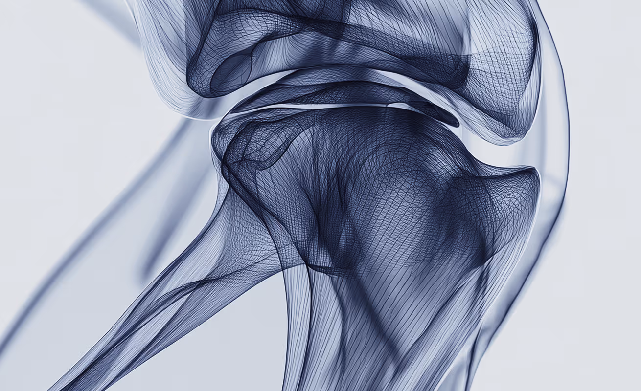 Abstract XRAY vision of a leg