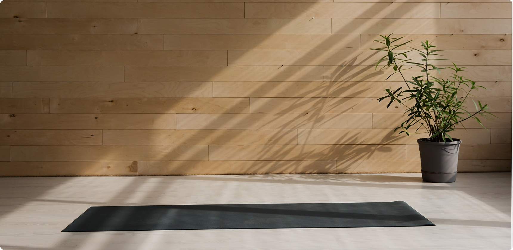 Empty black yoga mat on light wooden floor with a potted plant and wooden wall in the background, bathed in soft sunlight.