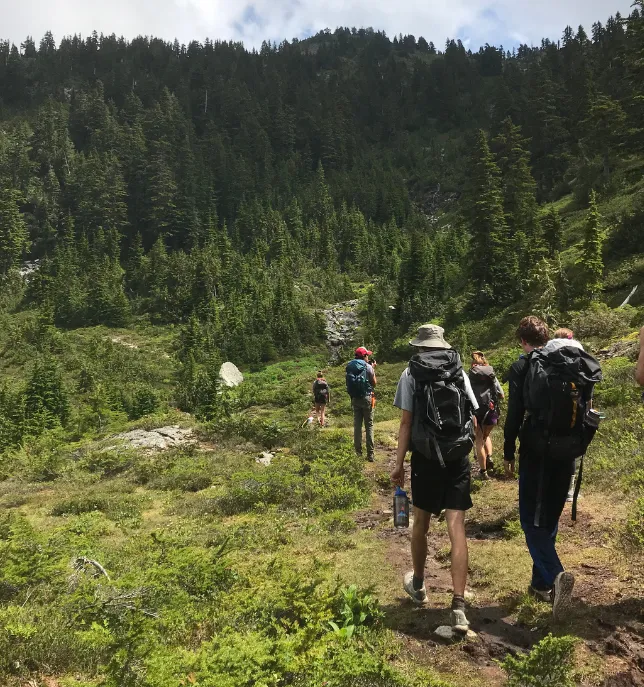 Group of hikers walking on a trail through a green forested mountain landscape.