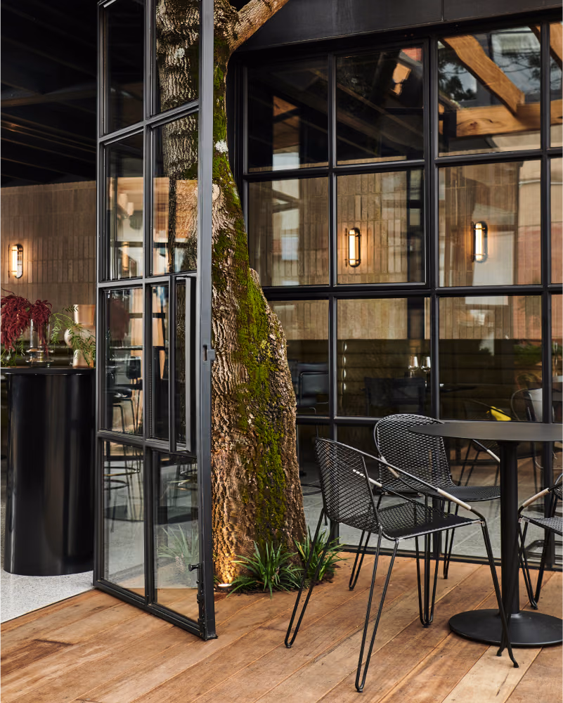 Indoor seating area with black metal chairs and table next to a large tree trunk integrated into the space with glass walls and wooden floor.